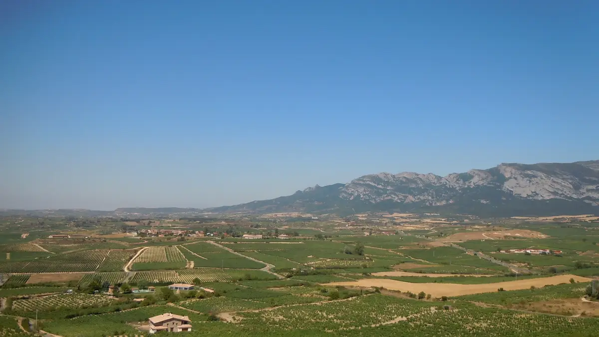Vingårdslandskap i Rioja Alavesa
