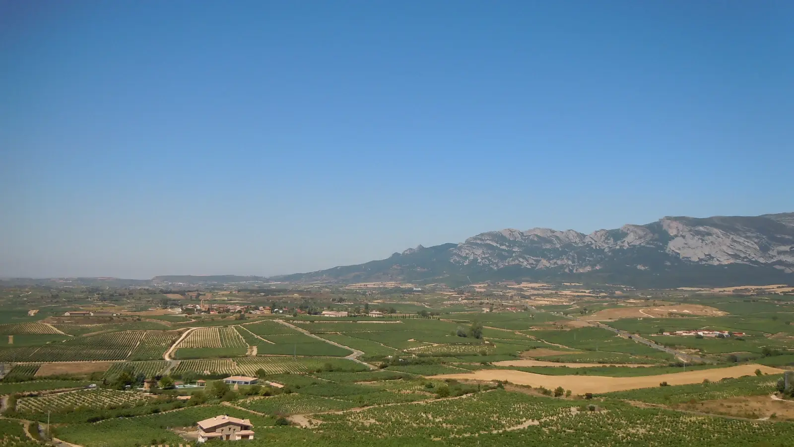 Vingårdslandskap i Rioja Alavesa